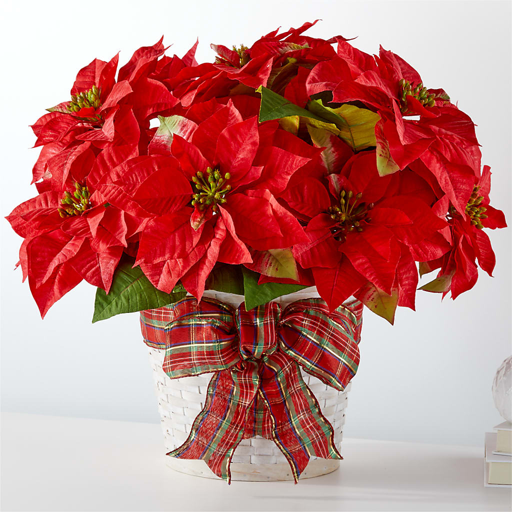 Happiest Holidays Poinsettia – Holtschlag Florist, Quincy IL