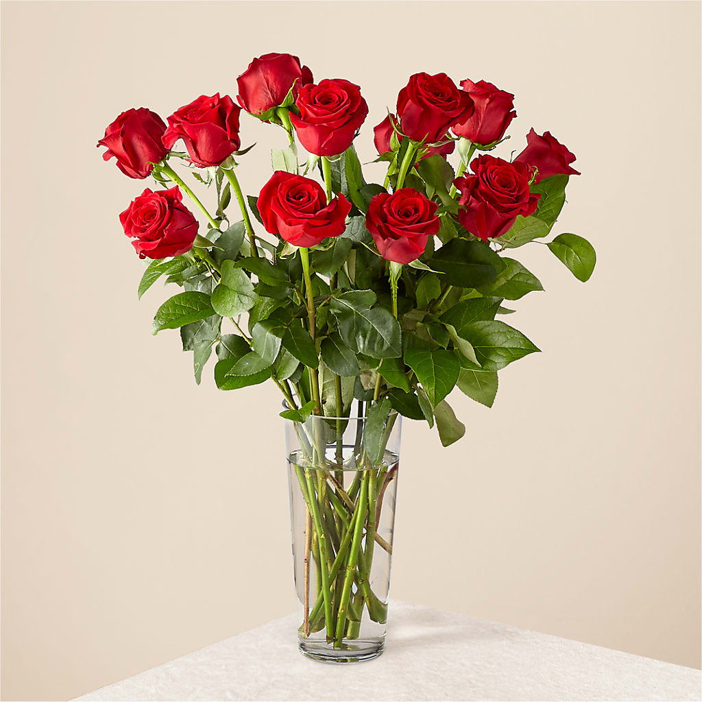 Long Stem Red Rose Bouquet – Holtschlag Florist, Quincy IL