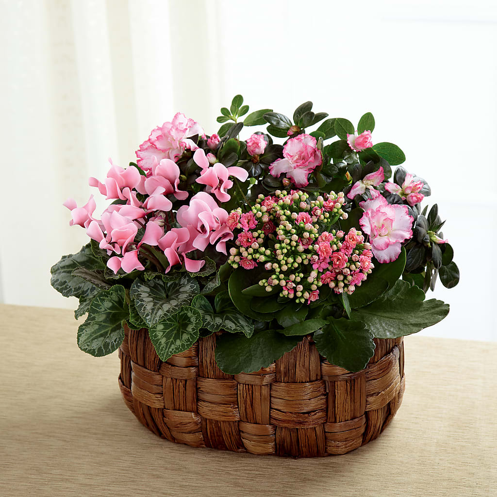 Pink Assortment – Holtschlag Florist, Quincy IL