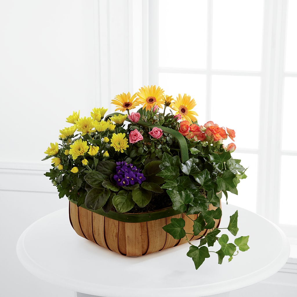 Gentle Blossoms Basket – Holtschlag Florist, Quincy IL
