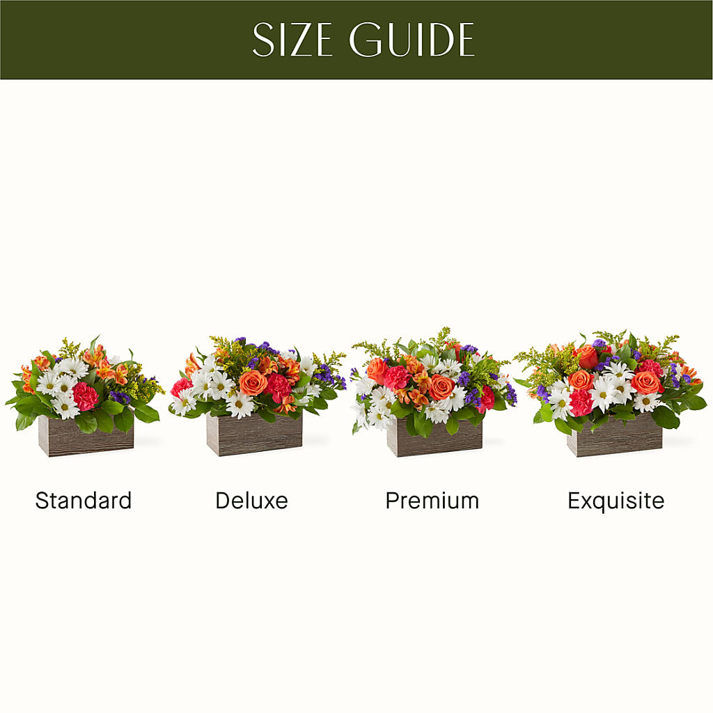 Oopsie Daisy Box Bouquet – Holtschlag Florist, Quincy IL