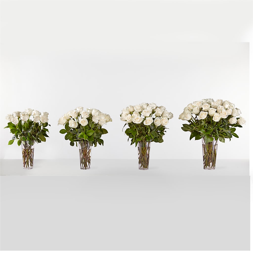 Long Stem White Rose Bouquet – Holtschlag Florist, Quincy IL