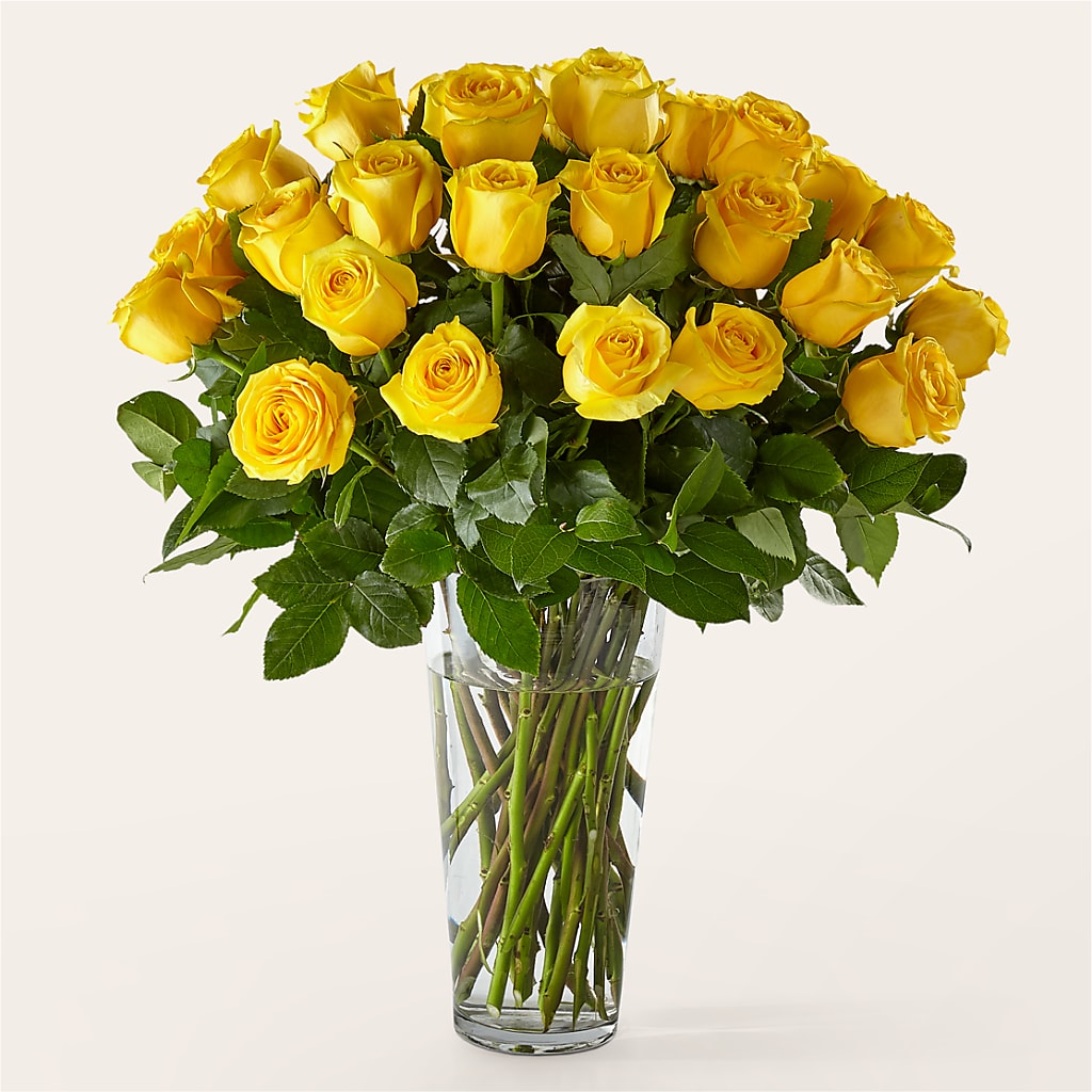Long Stem Yellow Rose Bouquet – Holtschlag Florist, Quincy IL