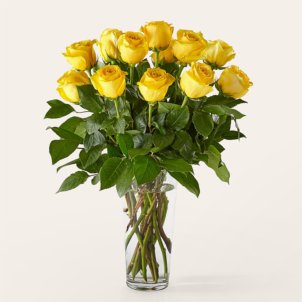 Long Stem Yellow Rose Bouquet – Holtschlag Florist, Quincy IL