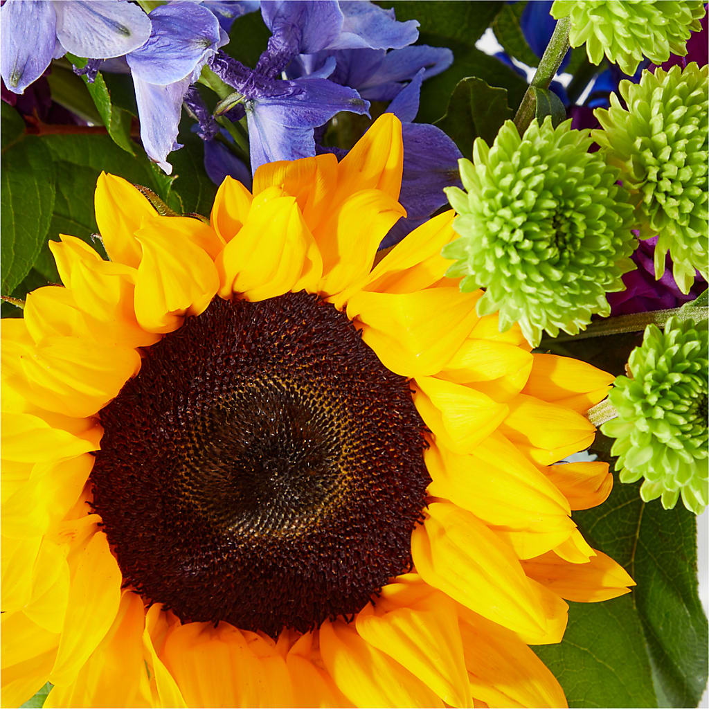 Catching Rays Bouquet – Holtschlag Florist, Quincy IL