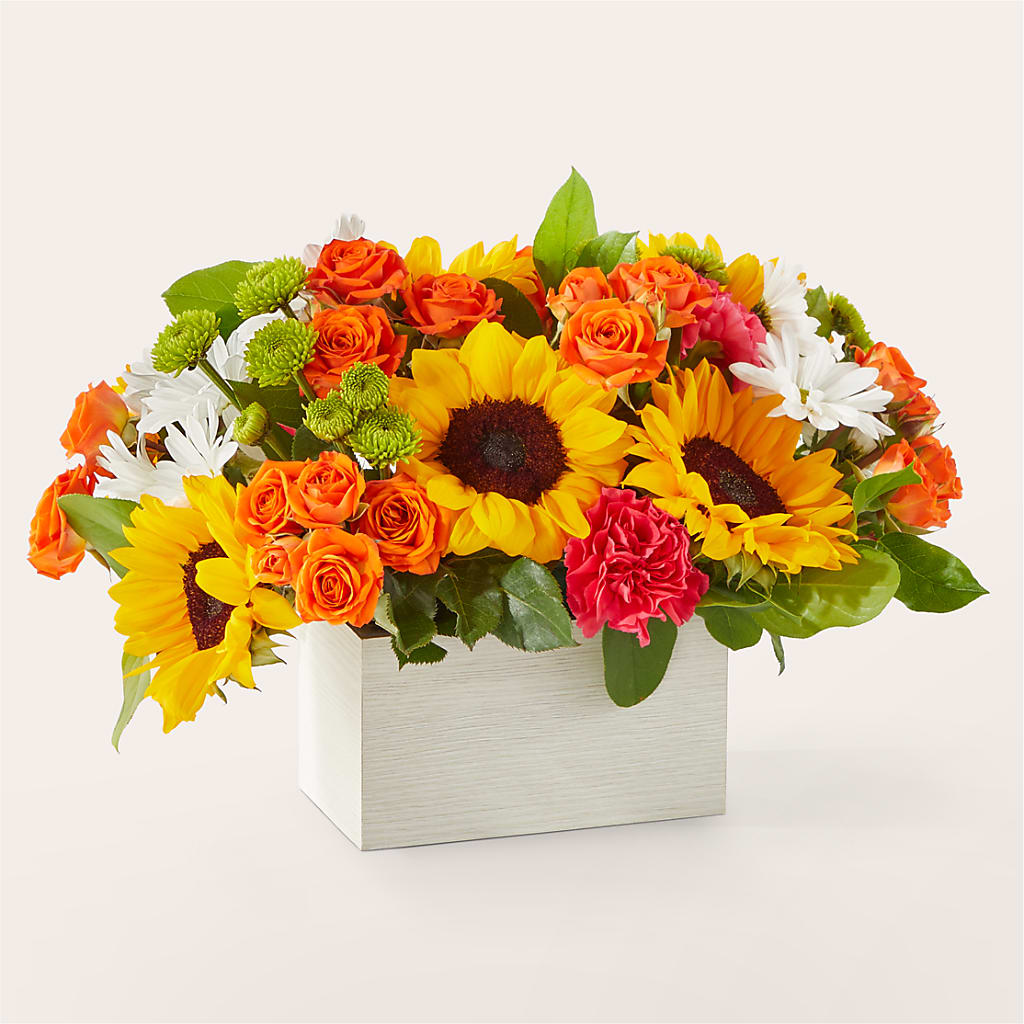Sun-drenched Blooms Box Bouquet – Holtschlag Florist, Quincy IL