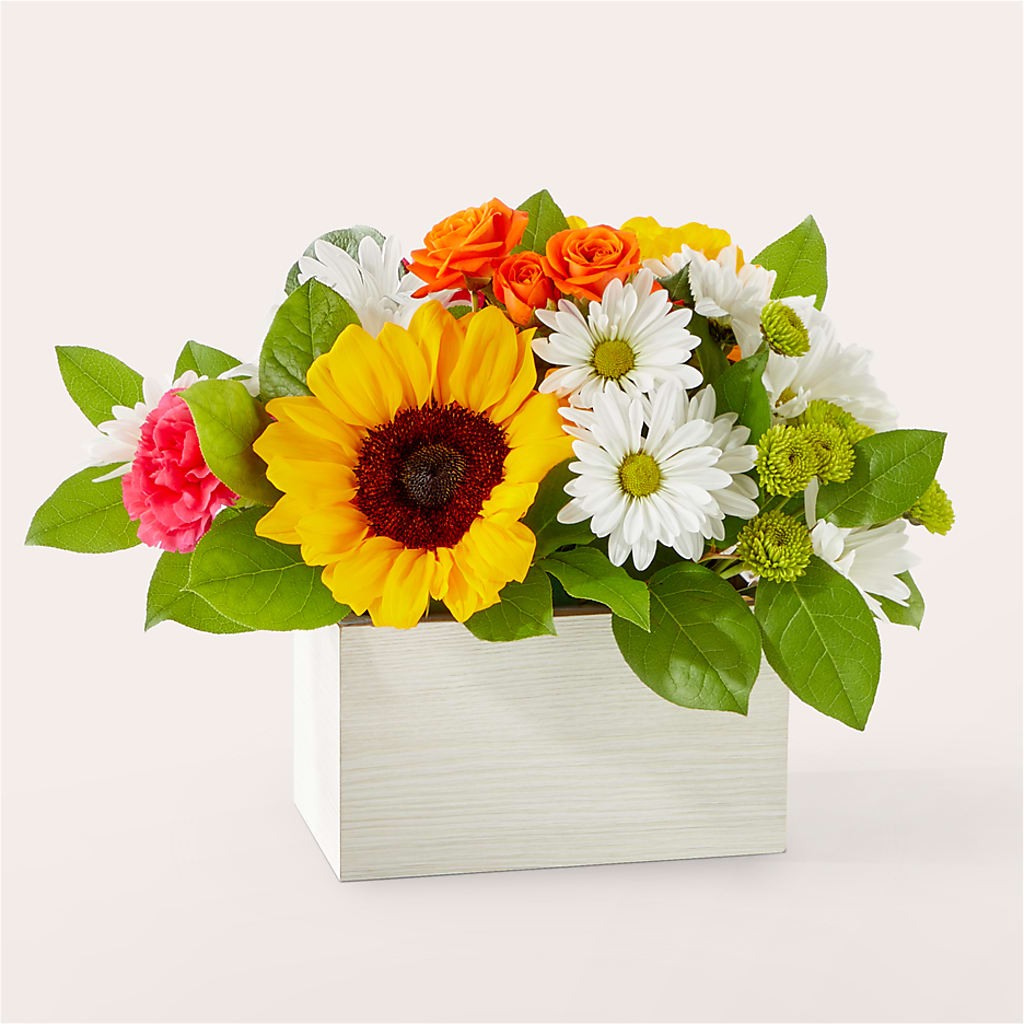 Sun-drenched Blooms Box Bouquet – Holtschlag Florist, Quincy IL