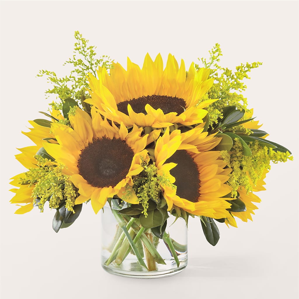 Beaming Sunflower Bouquet – Holtschlag Florist, Quincy IL
