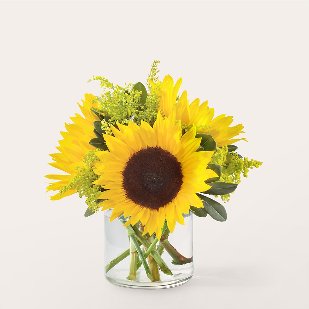 Beaming Sunflower Bouquet – Holtschlag Florist, Quincy IL