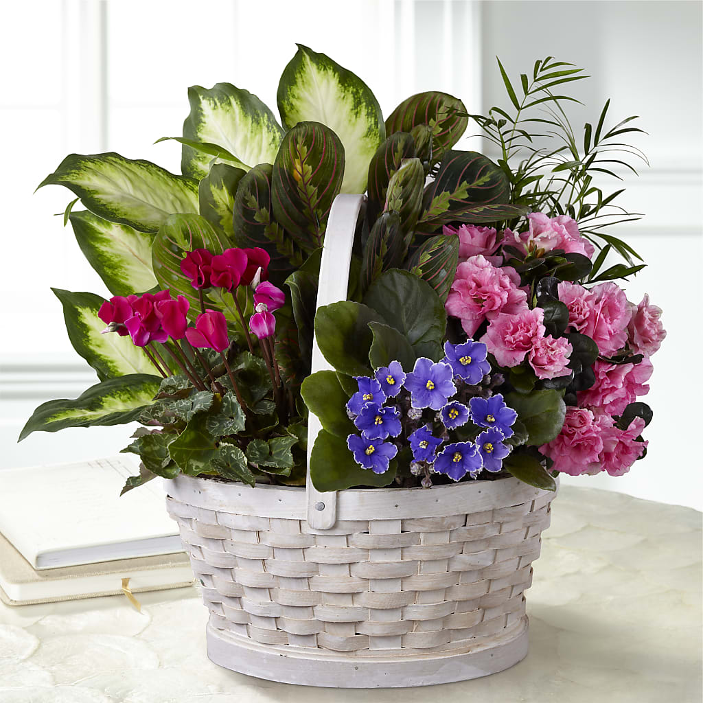 Peaceful Garden Planter – Holtschlag Florist, Quincy IL