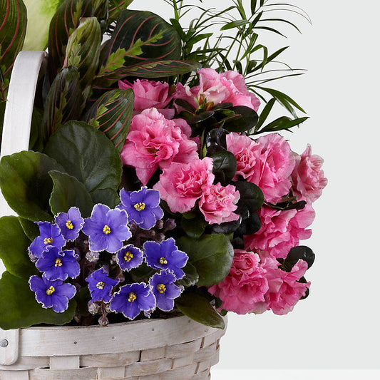 Peaceful Garden Planter – Holtschlag Florist, Quincy IL