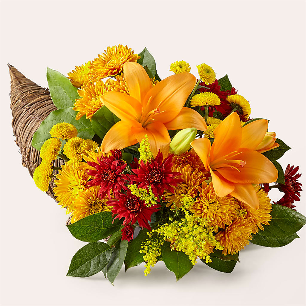 Feast of Color Cornucopia – Holtschlag Florist, Quincy IL