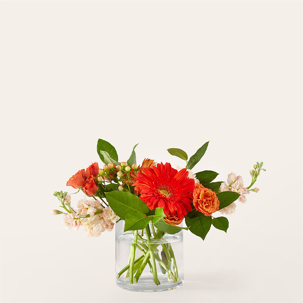 Paloma Please Bouquet – Holtschlag Florist, Quincy IL
