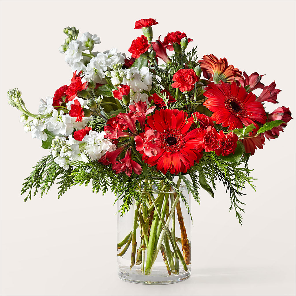 Holidaisy Bouquet – Holtschlag Florist, Quincy IL