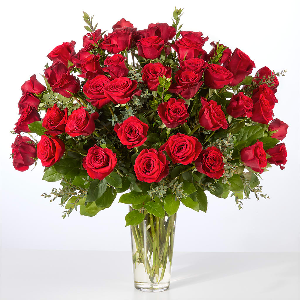 Forever Yours Fifty Stem Red Rose Bouquet – Holtschlag Florist, Quincy IL