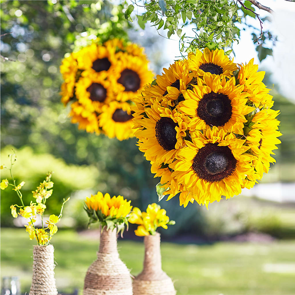 Sublime Garden Hanging Arrangement – Holtschlag Florist, Quincy IL