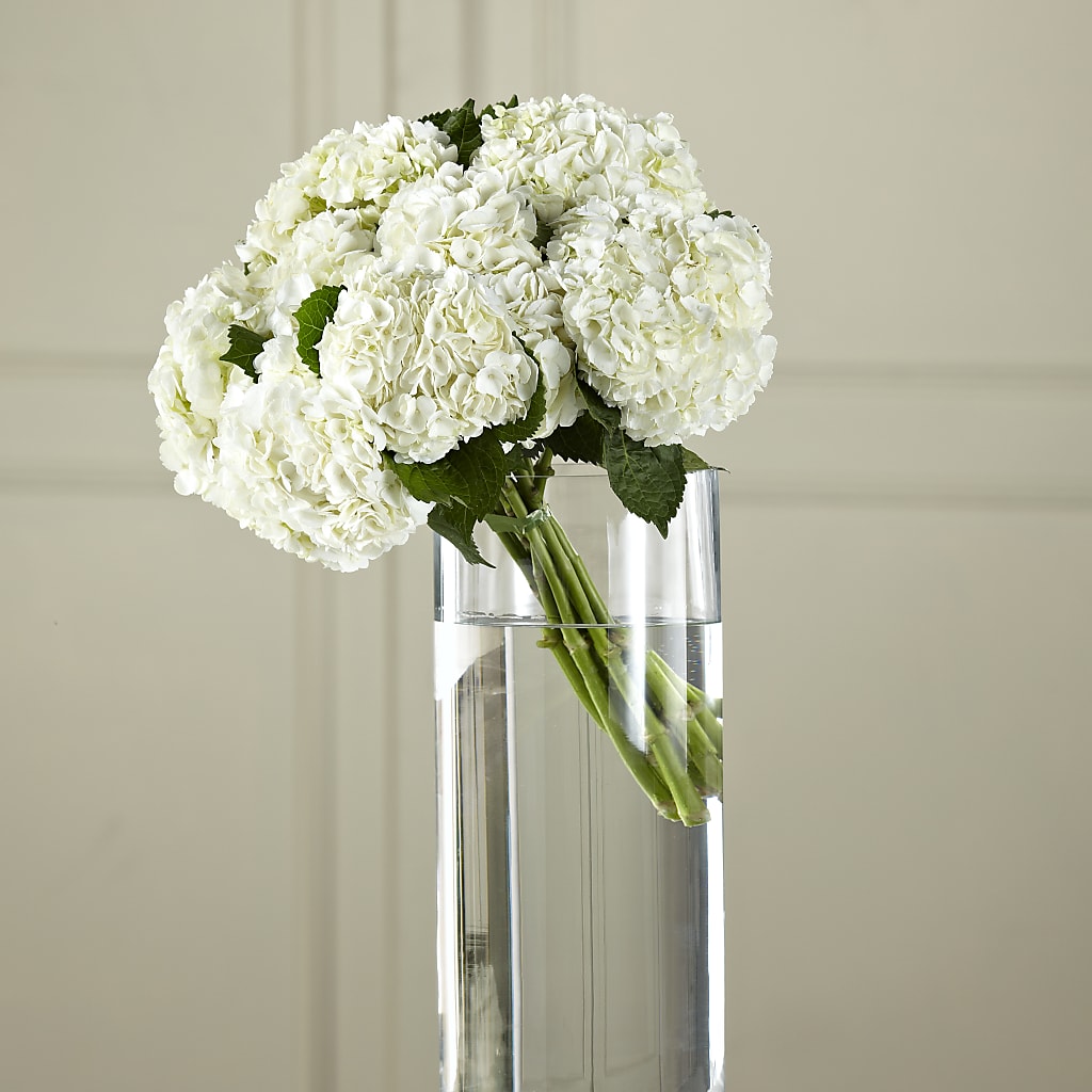 White Hydrangea Hand-Tied Bouquet – Holtschlag Florist, Quincy IL