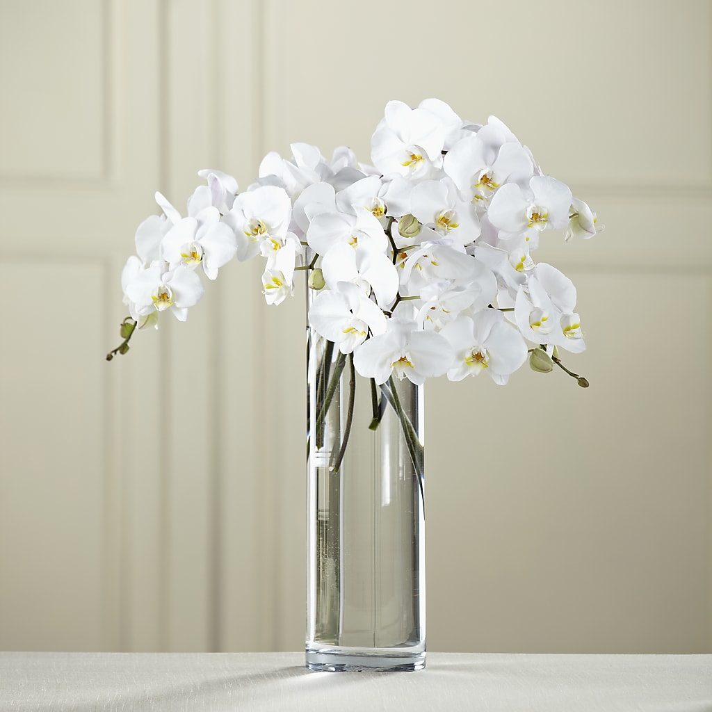 White Phalaenopsis Bouquet – Holtschlag Florist, Quincy IL