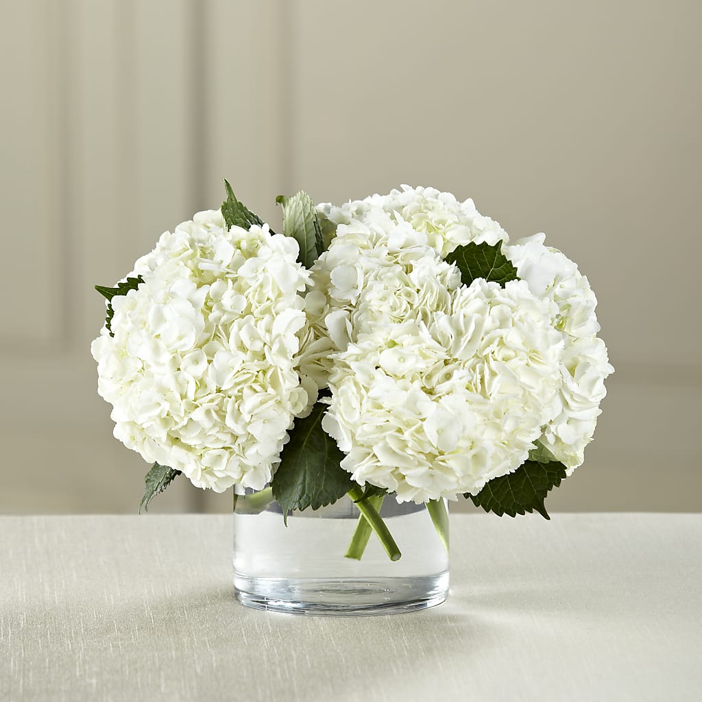 White Hydrangea Bouquet – Holtschlag Florist, Quincy IL