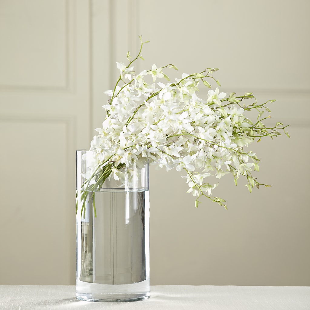 White Dendrobium Bouquet – Holtschlag Florist, Quincy IL