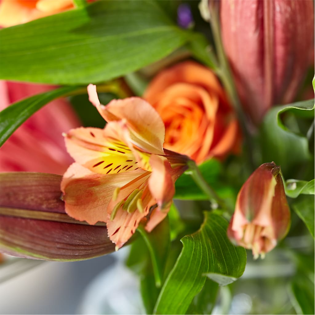Bold & Bright – A Florist Original –  Holtschlag Florist, Quincy IL