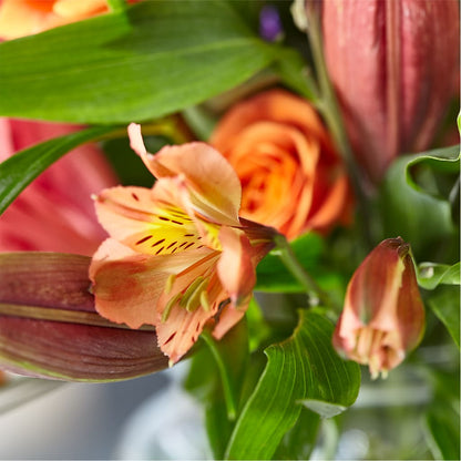 Bold & Bright – A Florist Original –  Holtschlag Florist, Quincy IL