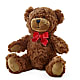 Adorable Plush Bear –  Holtschlag Florist, Quincy IL