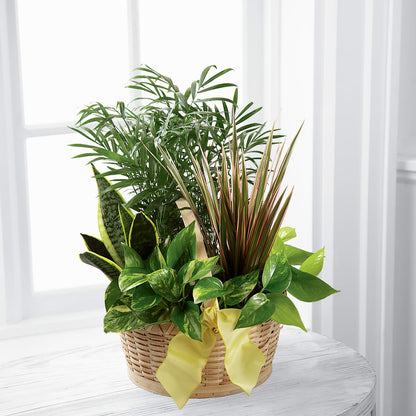 French Garden –  Holtschlag Florist, Quincy IL
