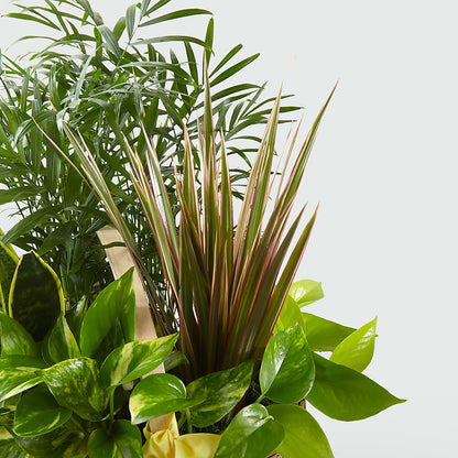 French Garden –  Holtschlag Florist, Quincy IL
