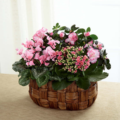 Pink Assortment –  Holtschlag Florist, Quincy IL