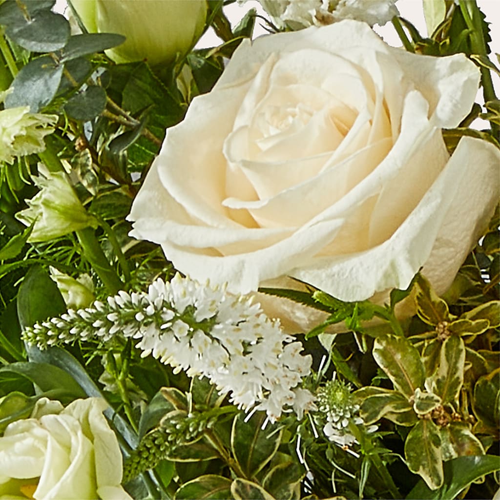 Cashmere Bouquet –  Holtschlag Florist, Quincy IL