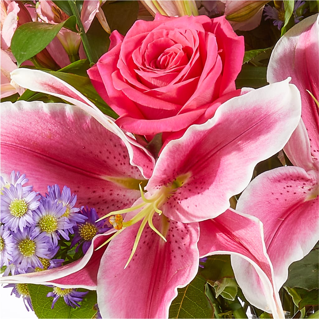 Written in the Stars Bouquet –  Holtschlag Florist, Quincy IL