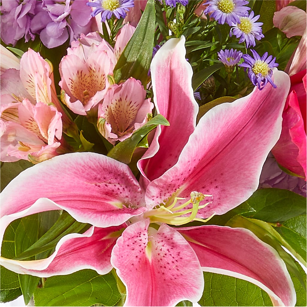 Written in the Stars Bouquet –  Holtschlag Florist, Quincy IL