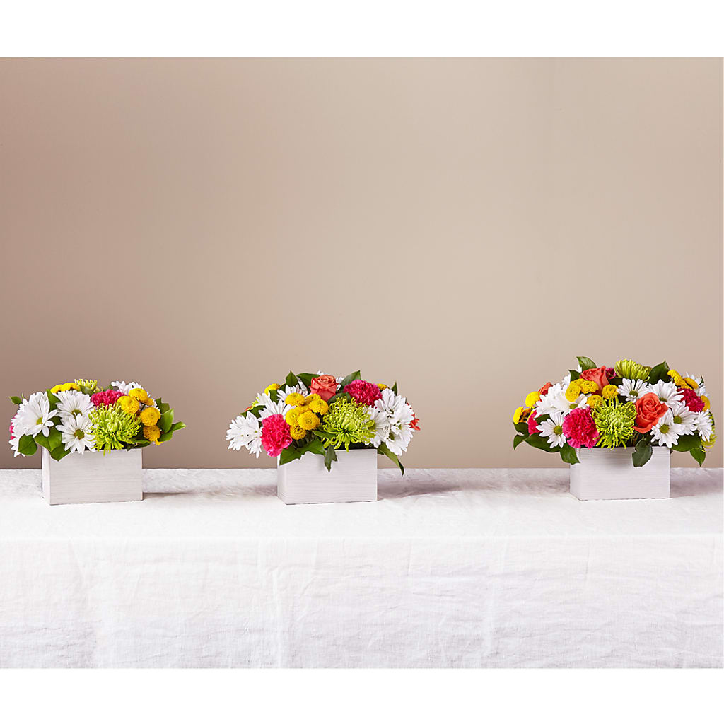 Sorbet Bouquet –  Holtschlag Florist, Quincy IL