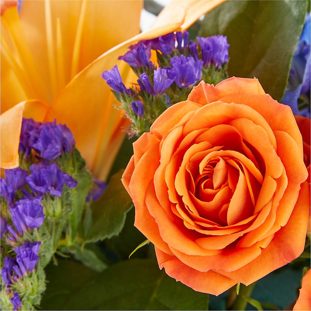 Radiant Citrus Box Bouquet –  Holtschlag Florist, Quincy IL