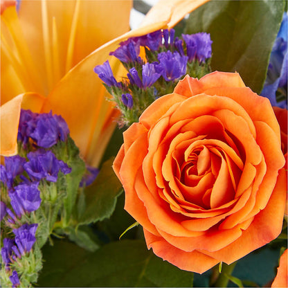 Radiant Citrus Box Bouquet –  Holtschlag Florist, Quincy IL
