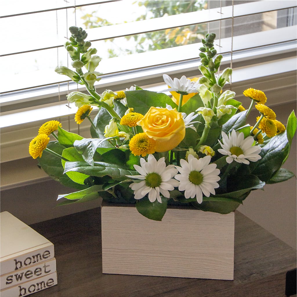 Sun Salutation Box Bouquet –  Holtschlag Florist, Quincy IL