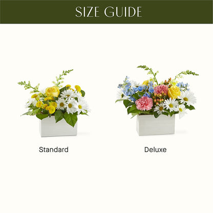 Sun Salutation Box Bouquet –  Holtschlag Florist, Quincy IL