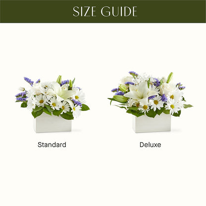 Beyond Blue Box Bouquet –  Holtschlag Florist, Quincy IL