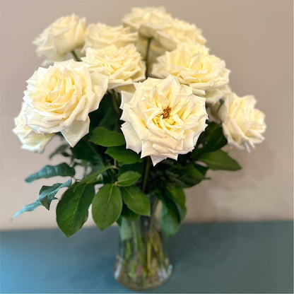 Long Stem Yellow Rose Bouquet –  Holtschlag Florist, Quincy IL