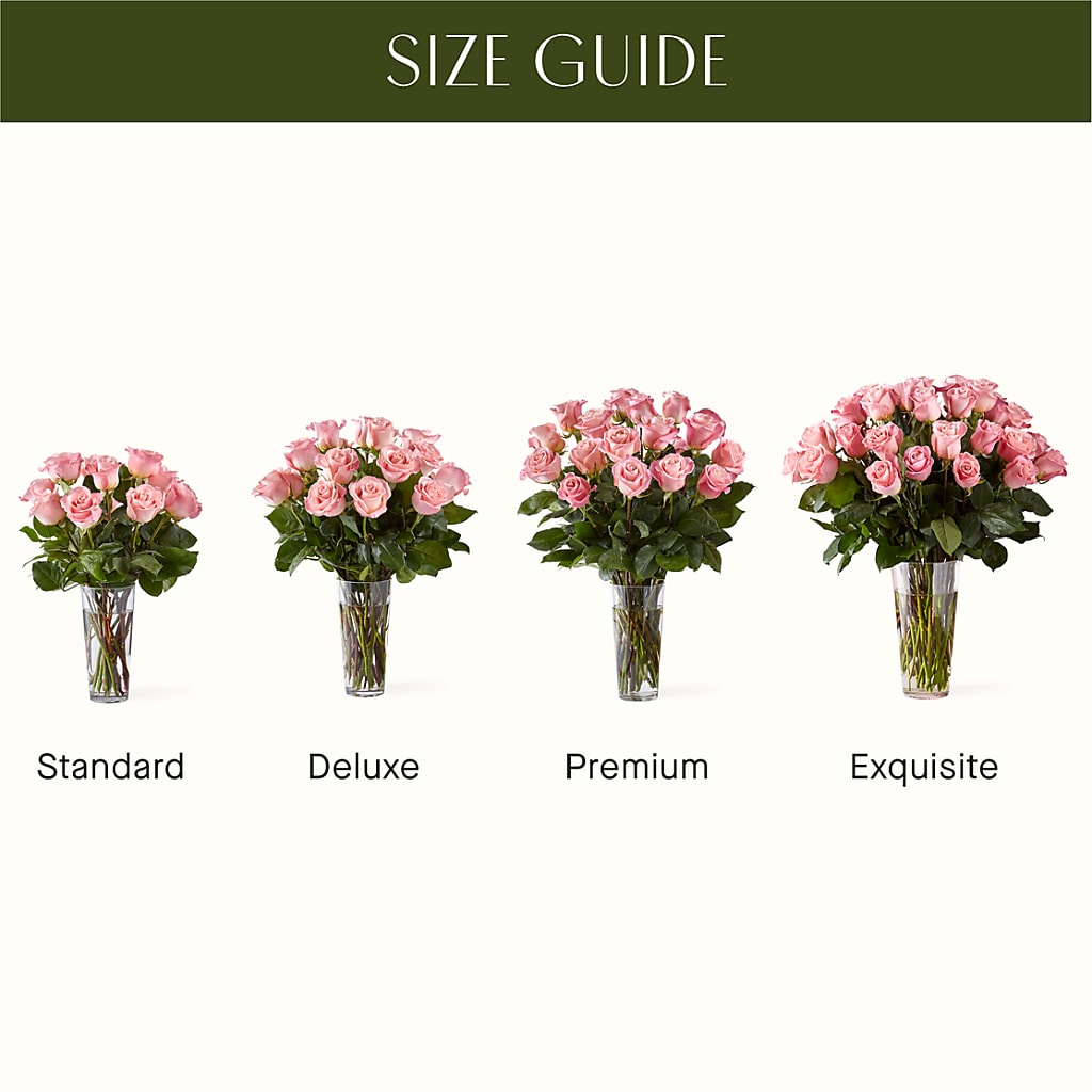 Long Stem Pink Rose Bouquet –  Holtschlag Florist, Quincy IL