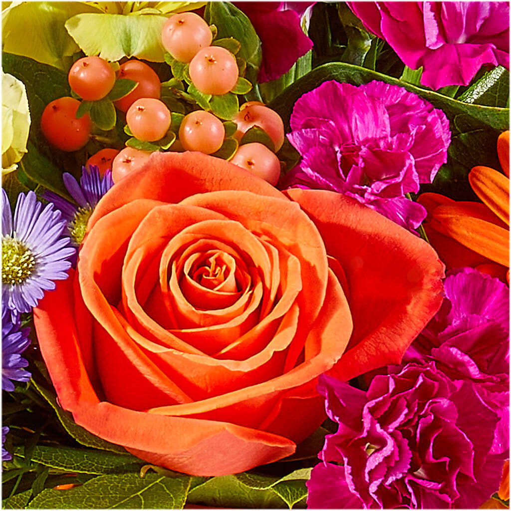 Tricks & Treats Pumpkin –  Holtschlag Florist, Quincy IL