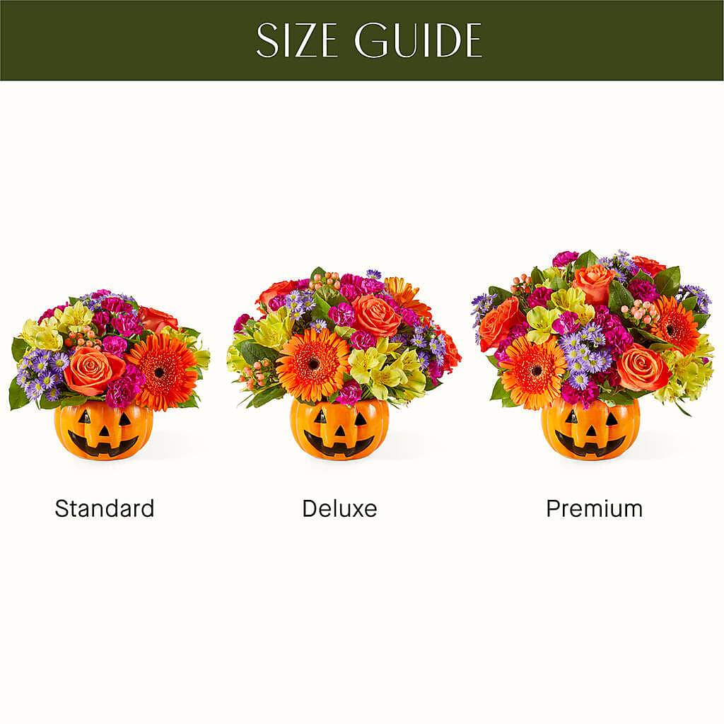 Tricks & Treats Pumpkin –  Holtschlag Florist, Quincy IL