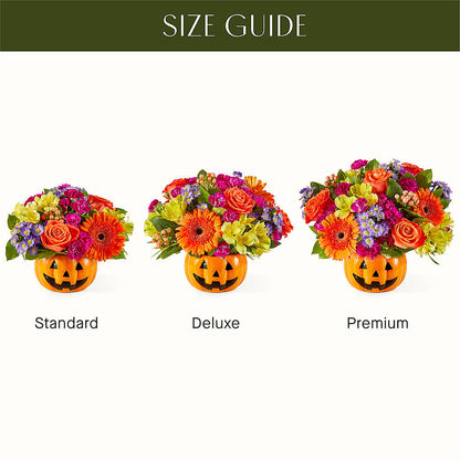 Tricks & Treats Pumpkin –  Holtschlag Florist, Quincy IL