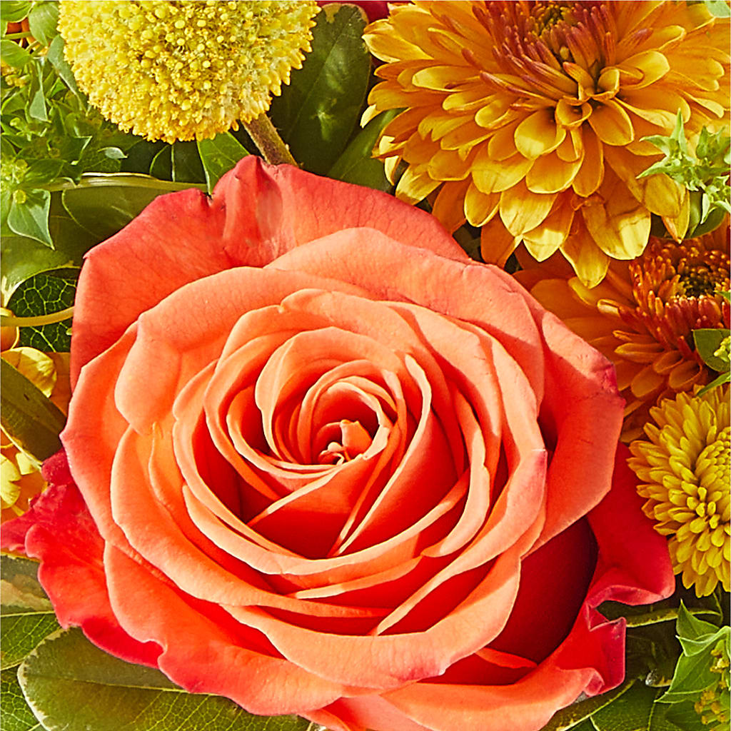 Gourdgeous Pumpkin –  Holtschlag Florist, Quincy IL