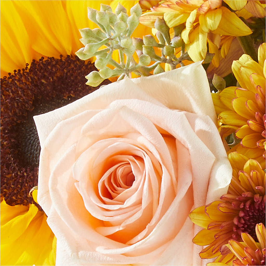 Pumpkin to Talk About Bouquet –  Holtschlag Florist, Quincy IL