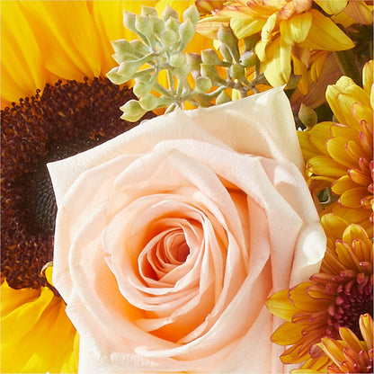 Pumpkin to Talk About Bouquet –  Holtschlag Florist, Quincy IL
