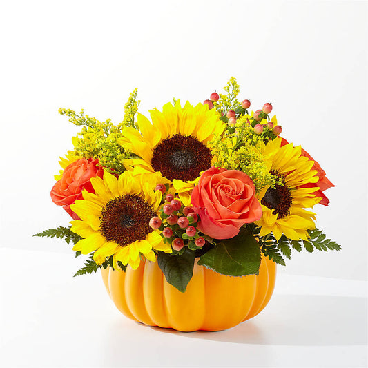 Pick of the Patch Pumpkin Bouquet –  Holtschlag Florist, Quincy IL