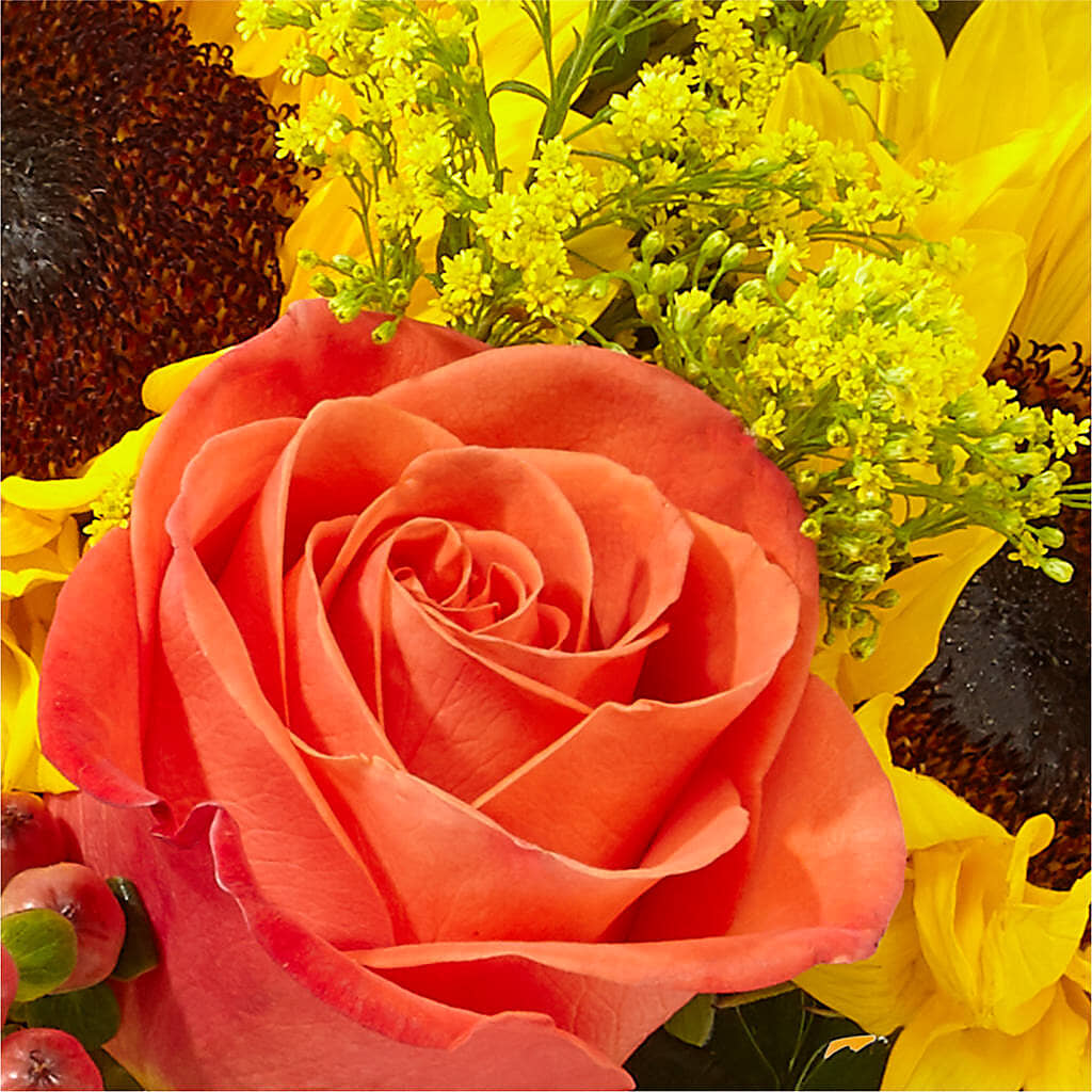 Pick of the Patch Pumpkin Bouquet –  Holtschlag Florist, Quincy IL