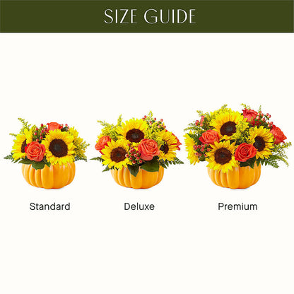 Pick of the Patch Pumpkin Bouquet –  Holtschlag Florist, Quincy IL